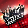 The voice, il nuovo talent show della Rai, record di ascolti alla ricerca di una voce nuova!
