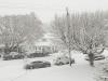 Neve in West Virginia 