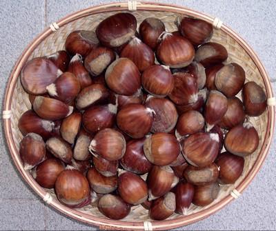 <p style="text-align: justify;">Rimedio della nonna contro lo stress: fare il pieno di castagne</p>
