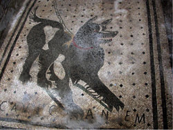 CAVE CANEM. Pompei, casa del poeta tragico